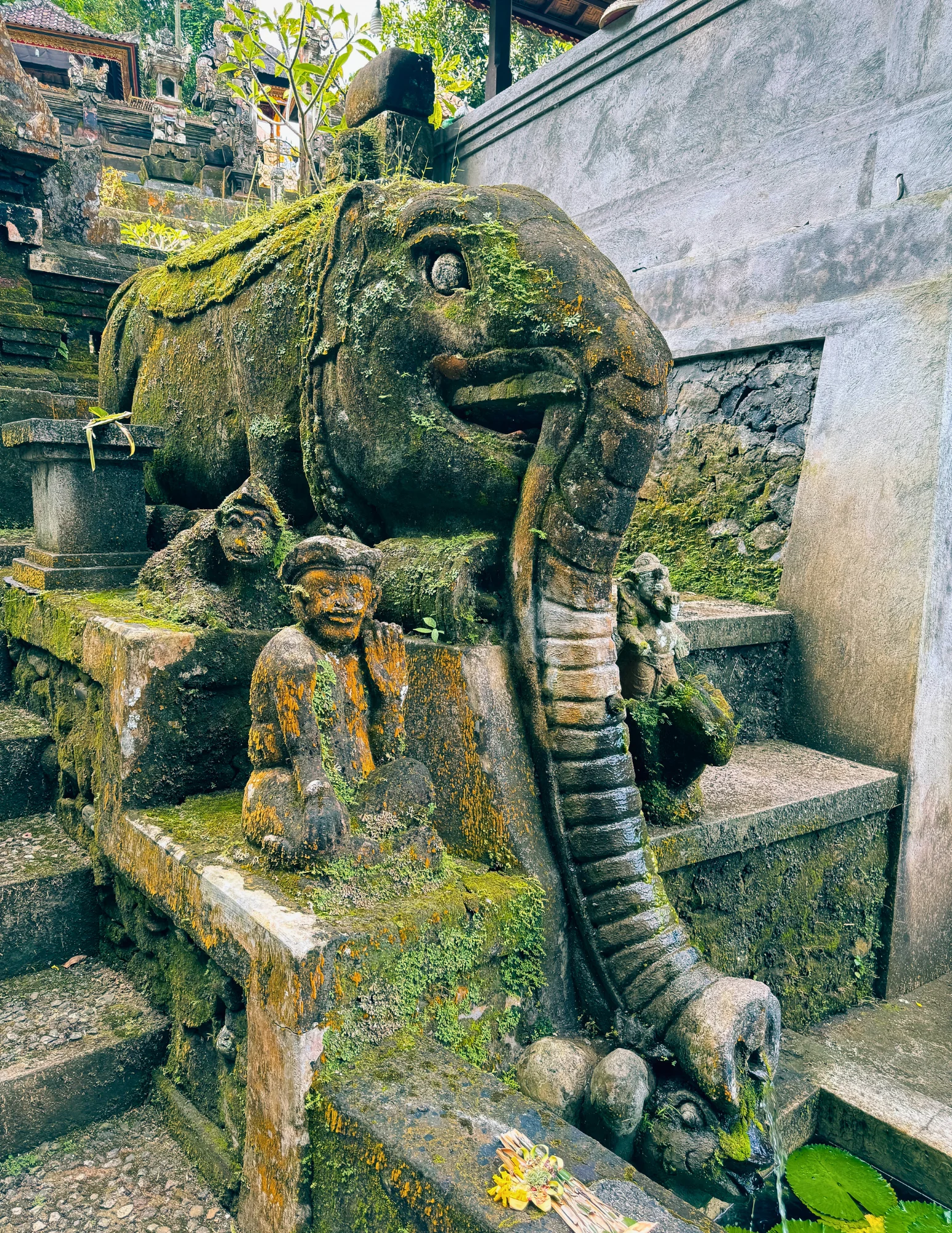 From Jungle Trails to Inner Peace