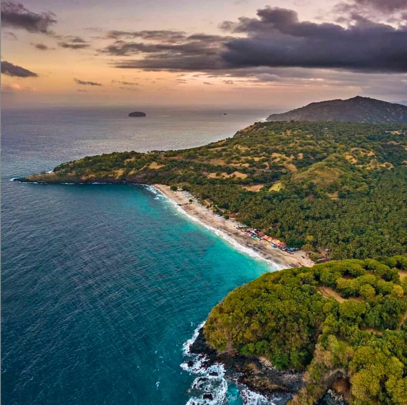 From Jungle Trails to Inner Peace