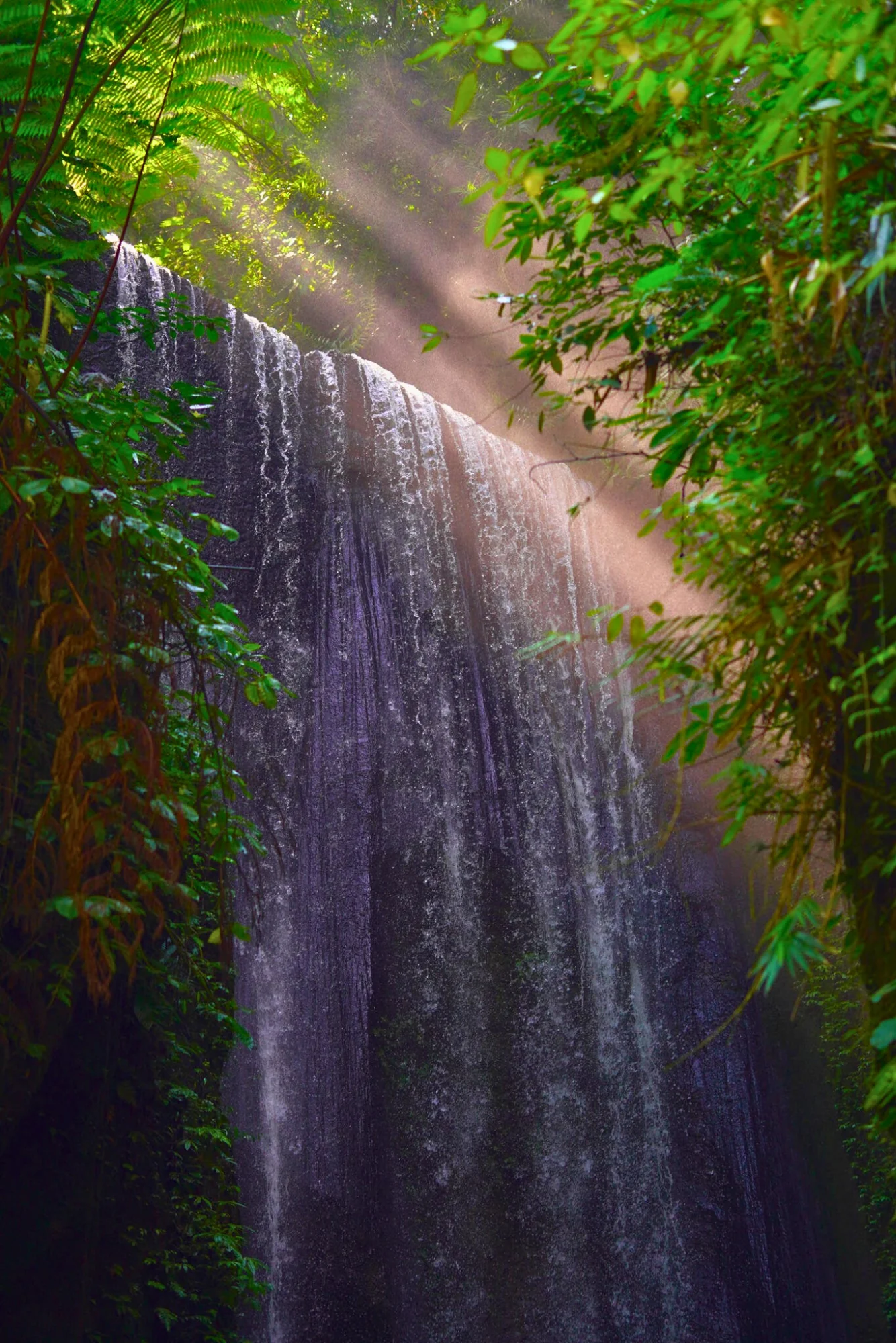 From Jungle Trails to Inner Peace