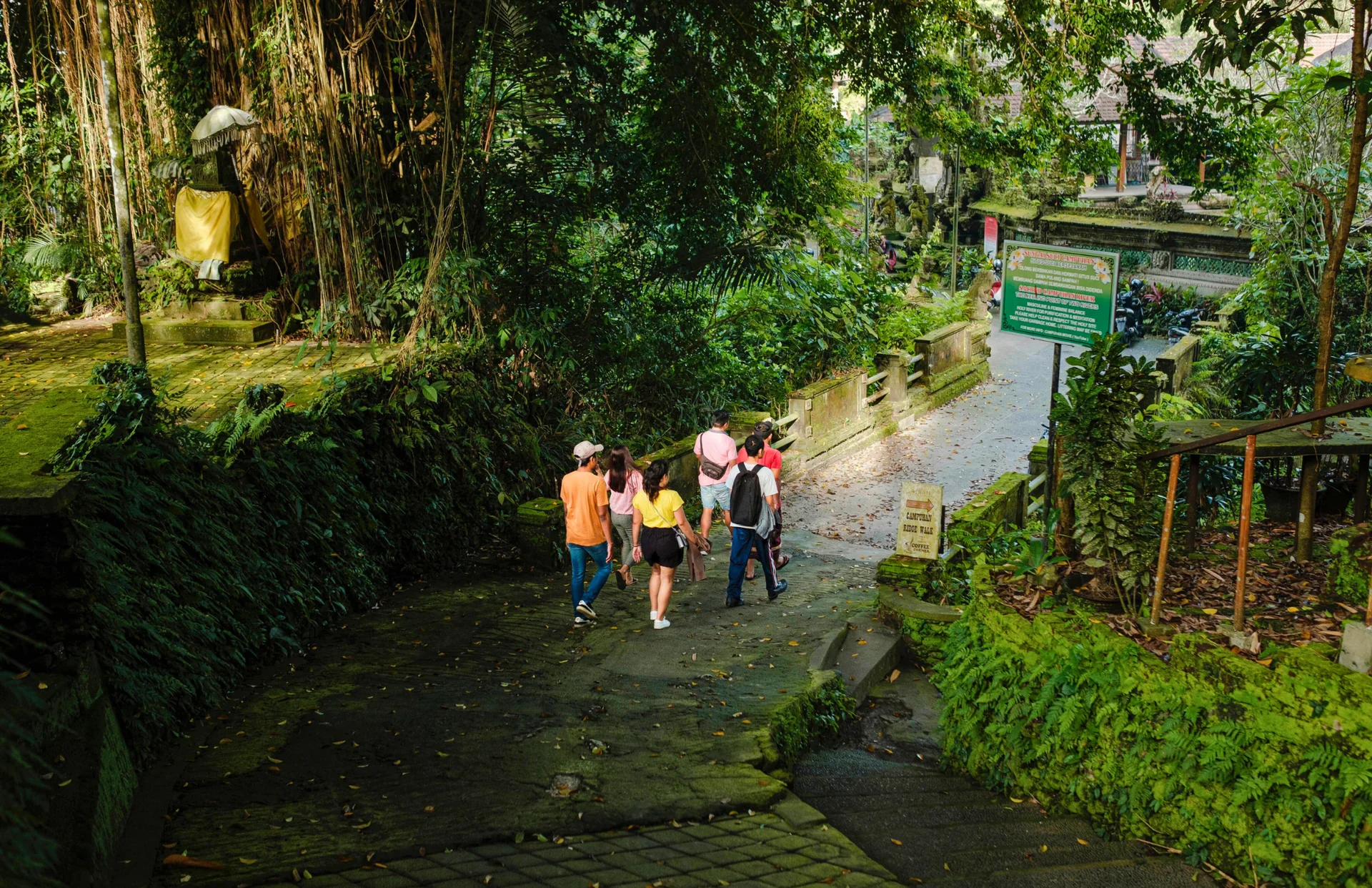UBUD STORY WALKS