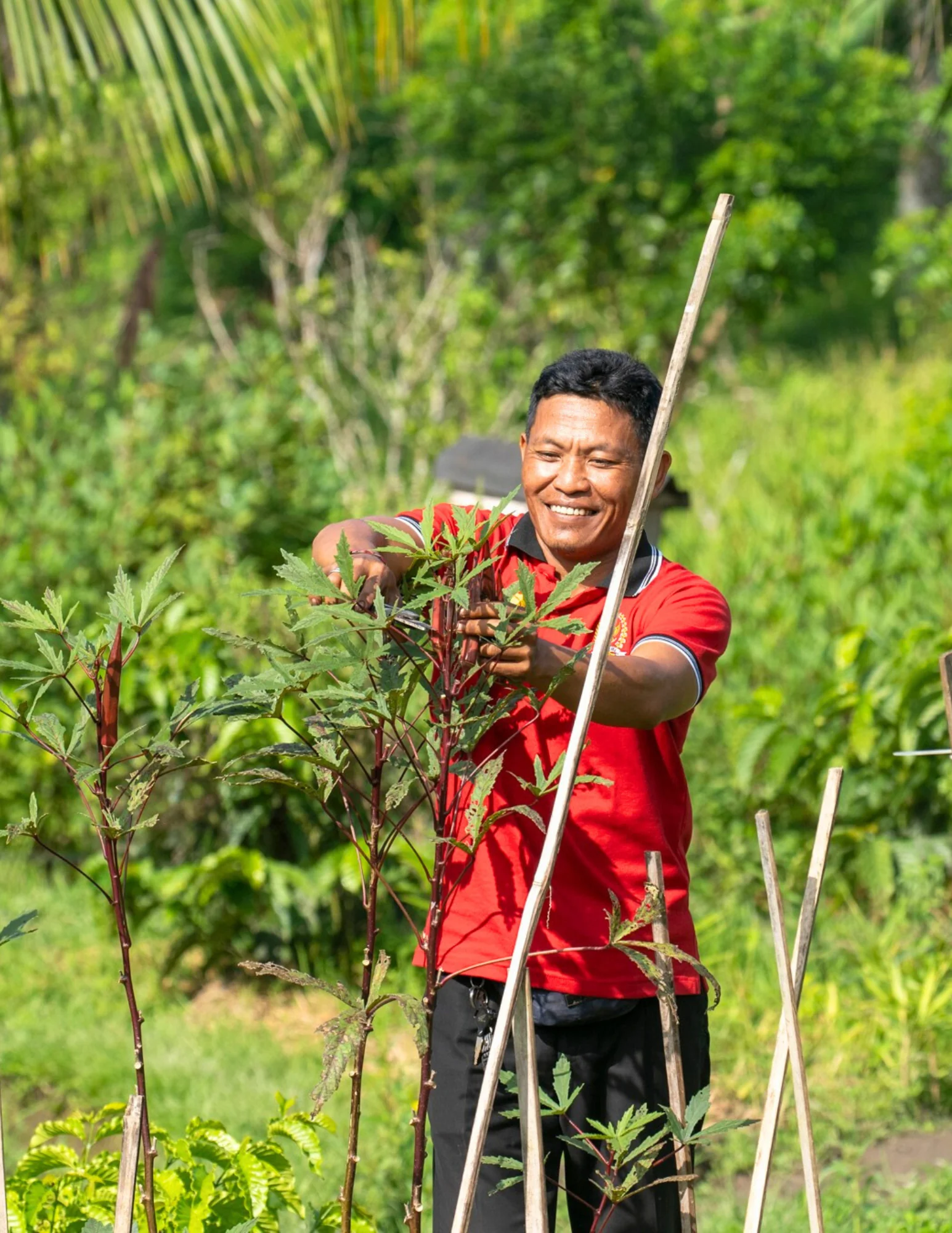 BEGAWAN FARM TO TABLE EXPERIENCE