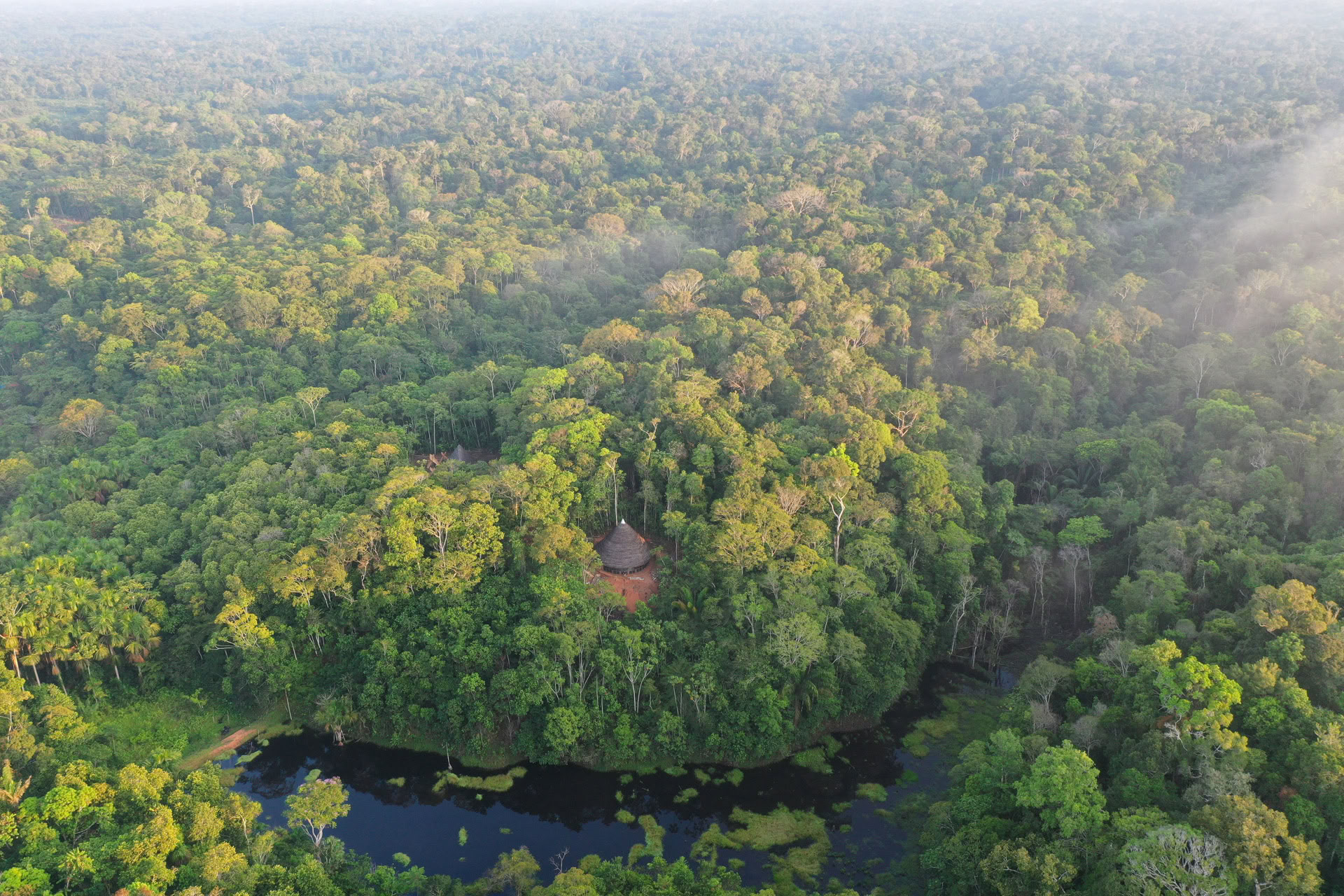Otwarty retreat ayahuaskowy w Psychonauta Tribe
