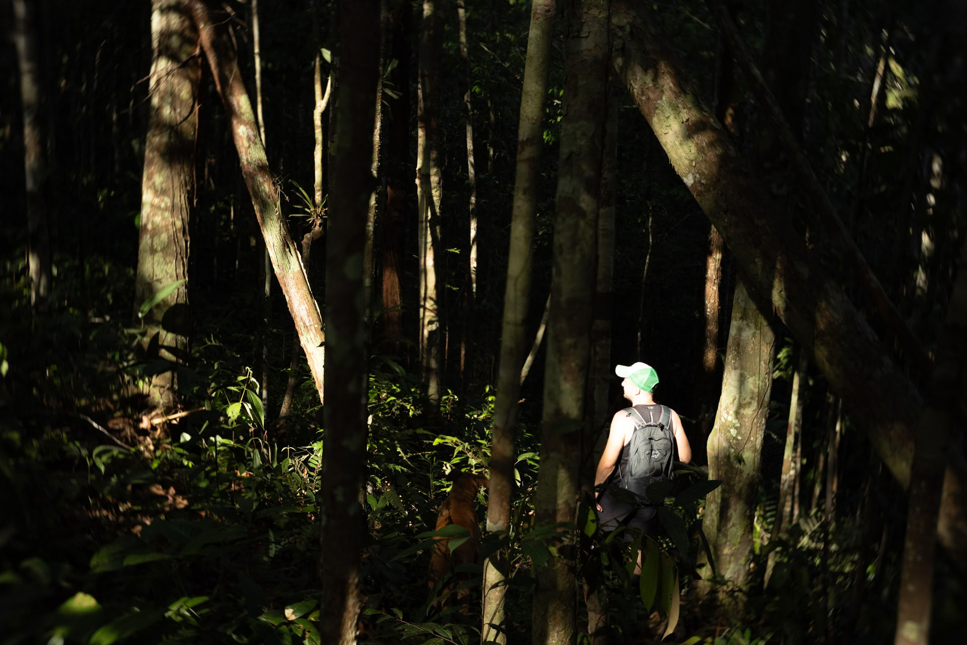 Otwarty retreat ayahuaskowy w Psychonauta Tribe