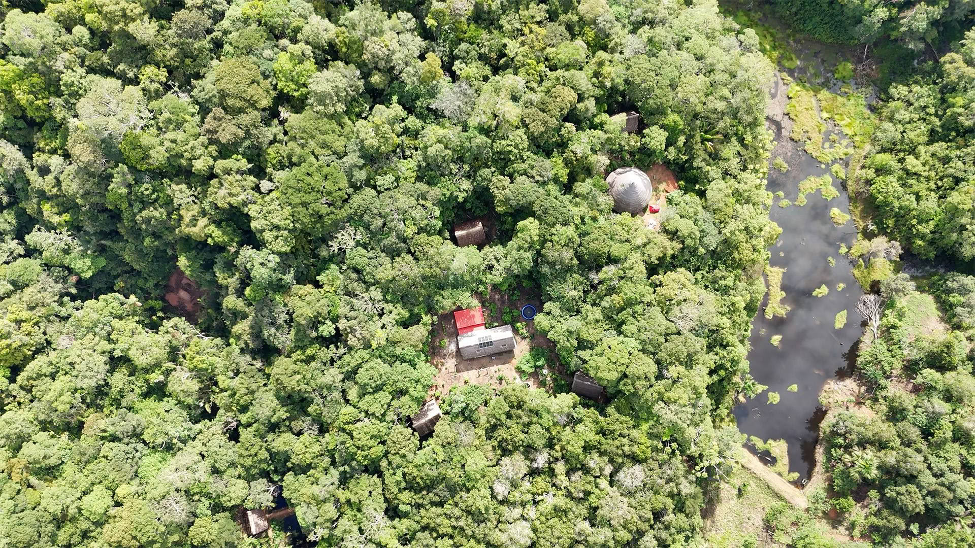 Otwarty retreat ayahuaskowy w Psychonauta Tribe