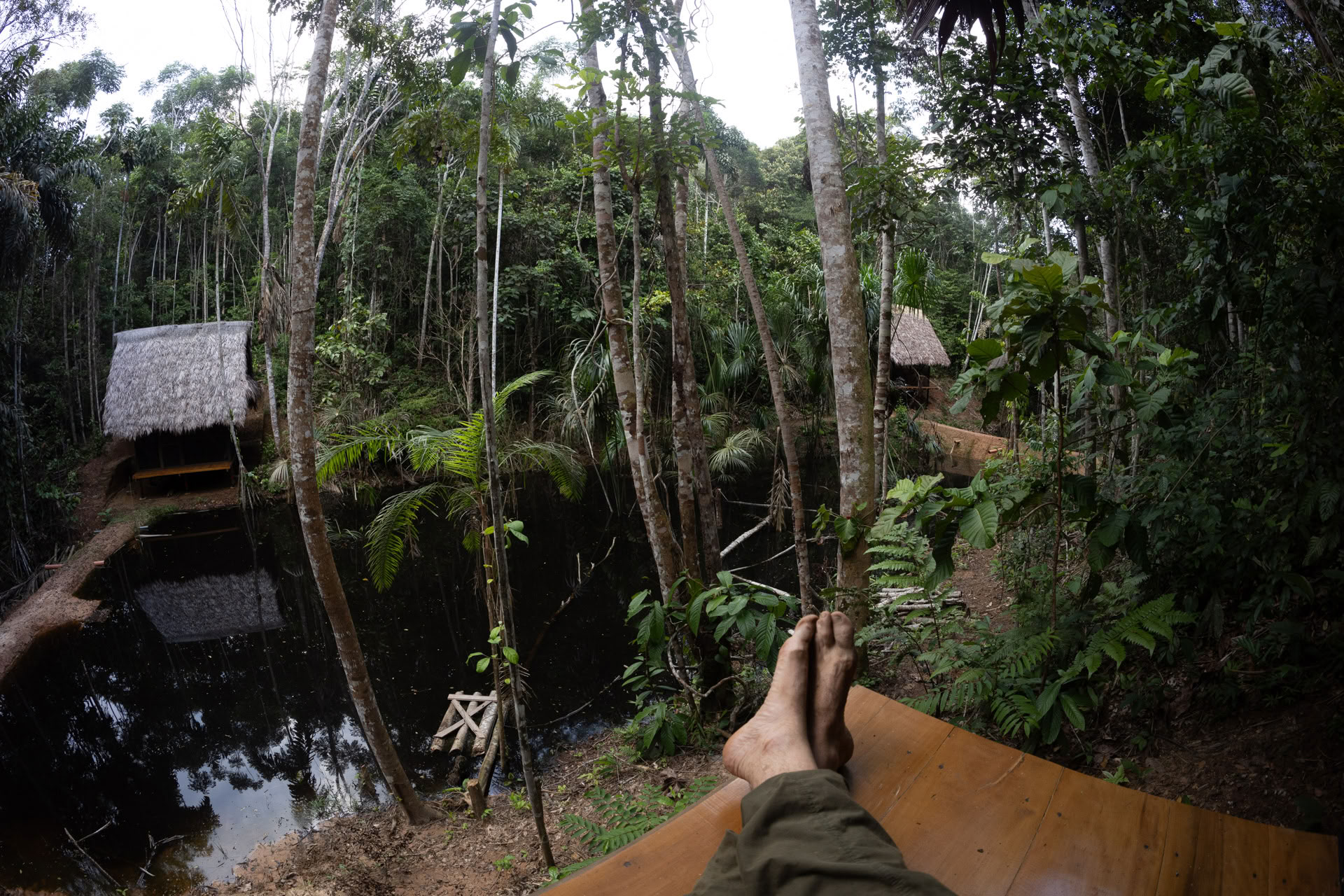 Otwarty retreat ayahuaskowy w Psychonauta Tribe