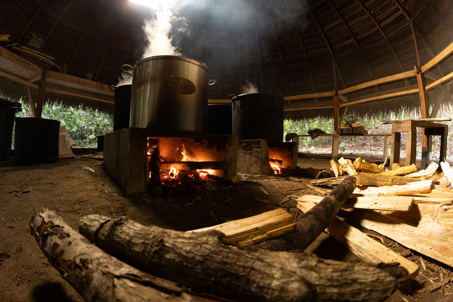 Open Ayahuasca Retreat