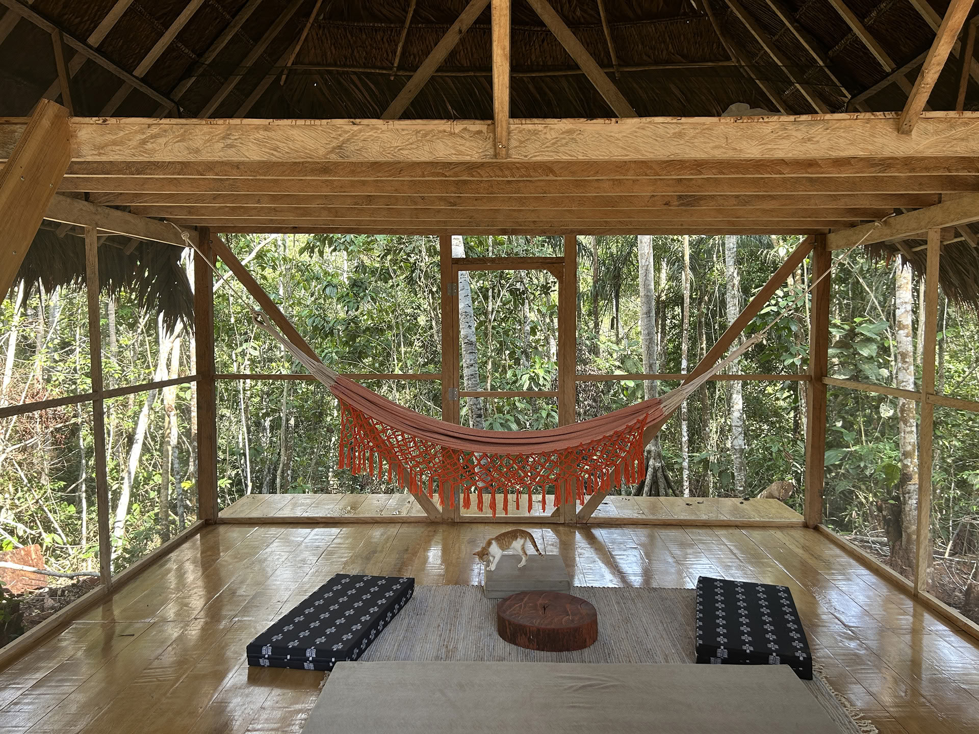 Open Ayahuasca Retreat