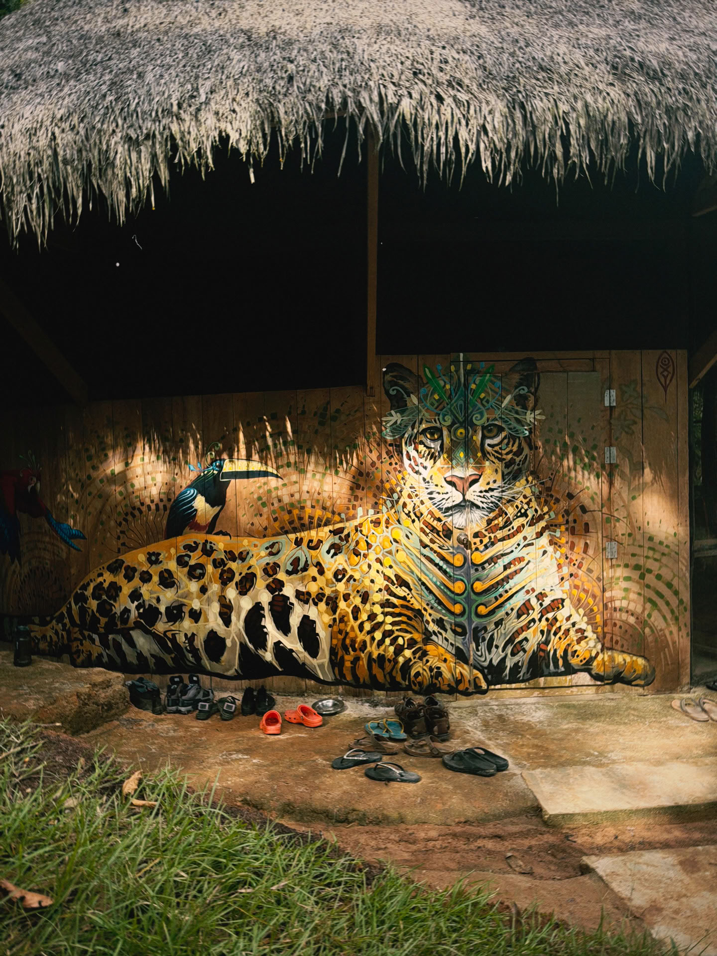 Open Ayahuasca Retreat