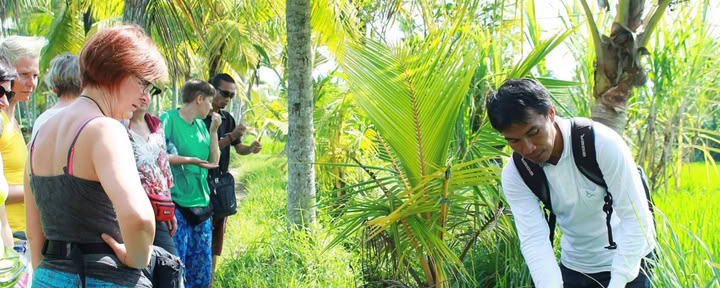 NATURE HERBAL WALK
