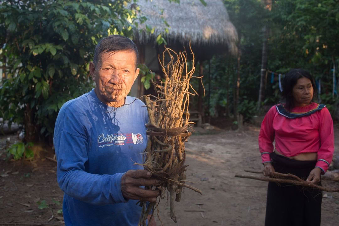 Ayahuasca Retreat & Master Plant Dieta w Peru