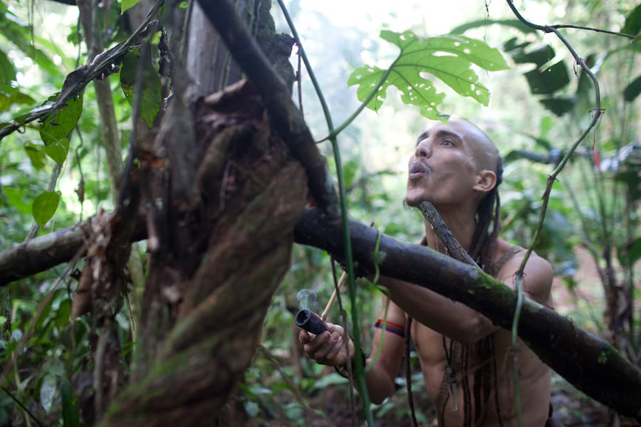 Ayahuasca Retreat & Master Plant Dieta w Peru