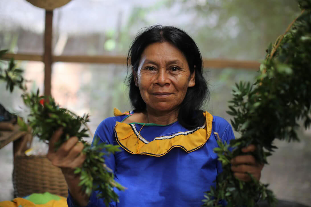 Ayahuasca Retreat & Master Plant Dieta w Peru