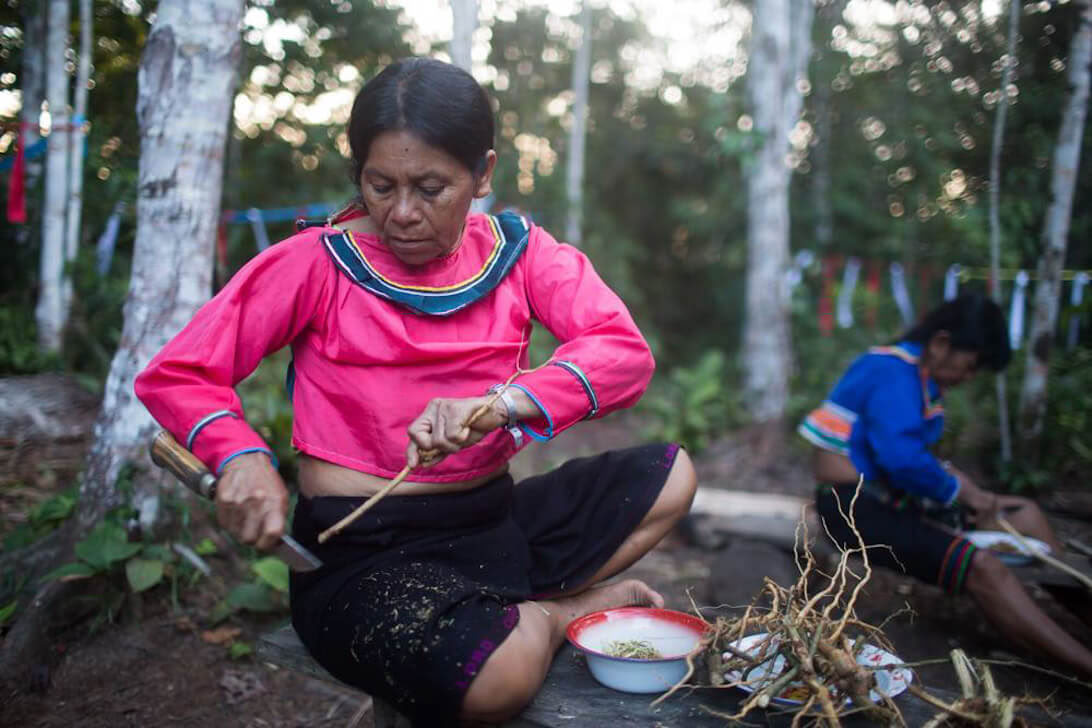 Ayahuasca Retreat & Master Plant Dieta w Peru