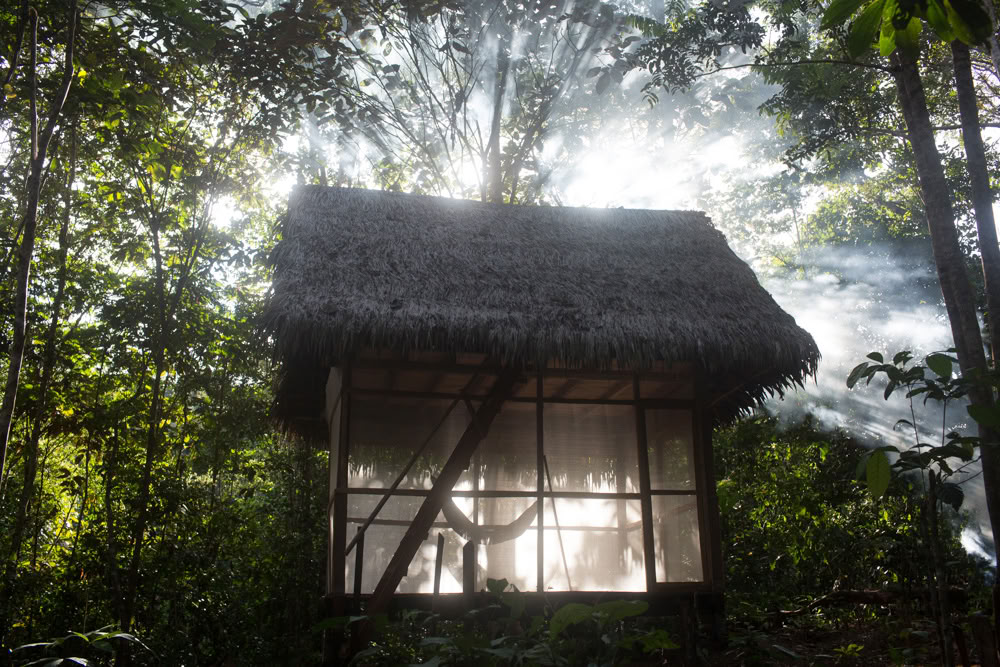 Ayahuasca Retreat & Master Plant Dieta w Peru