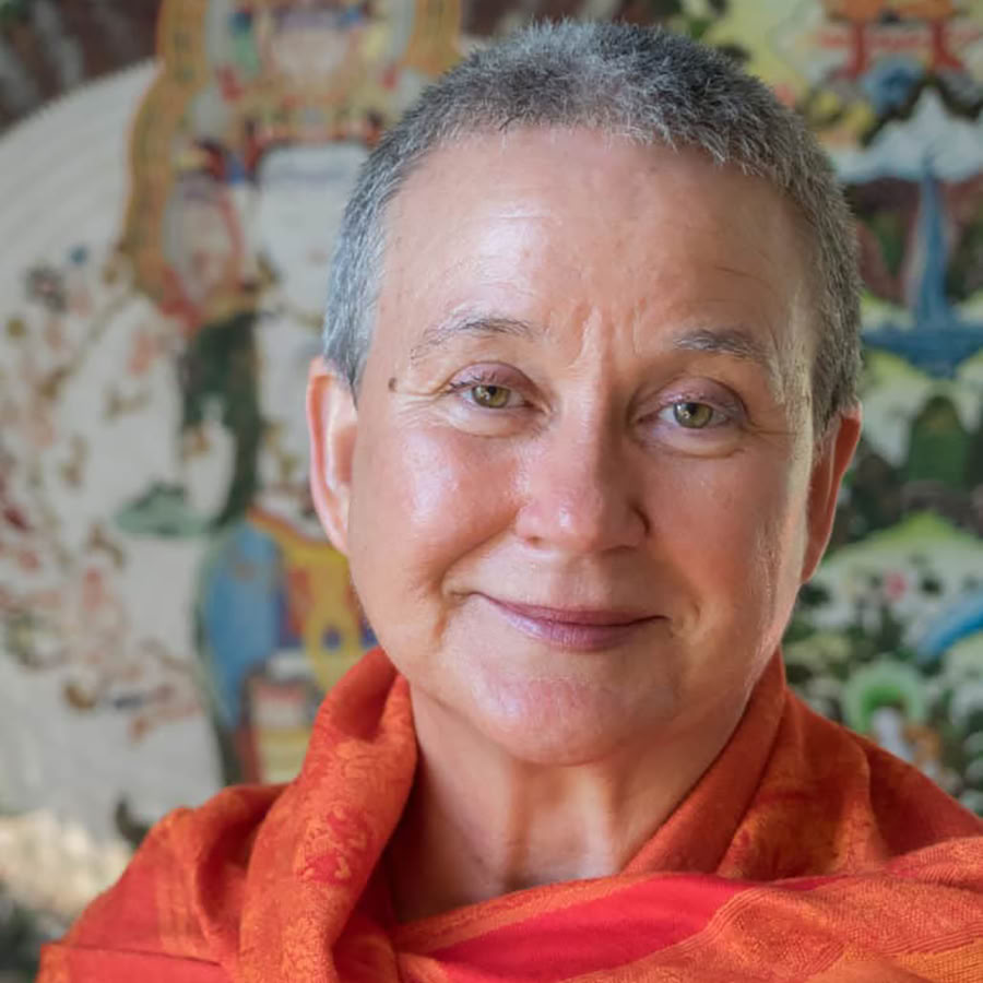 The Wisdom Path: Buddhist and Shamanic Practices for Healing Ourselves and the Earth