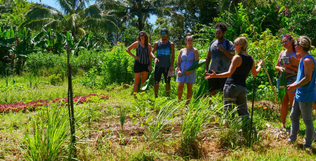 Aloha Maui Farm Tour