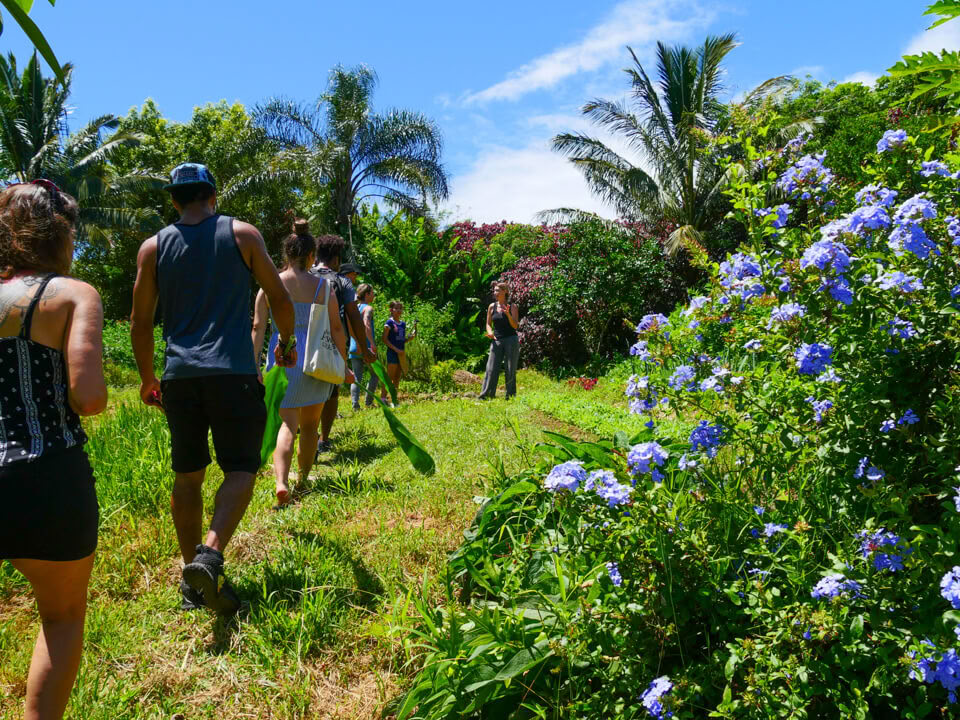 Aloha Maui Farm Tour