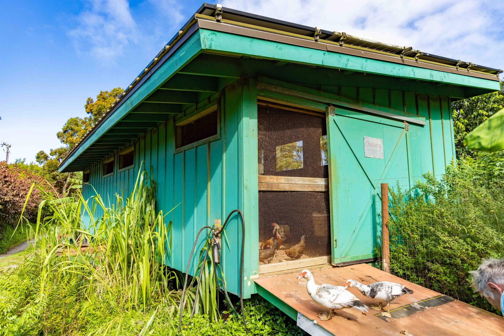 Aloha Maui Farm Tour