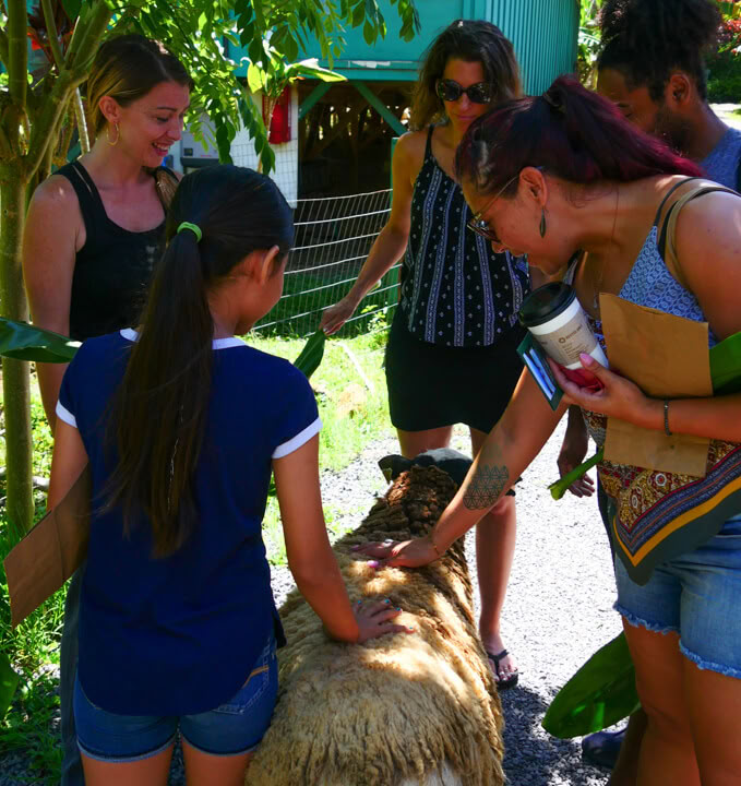 Aloha Maui Farm Tour
