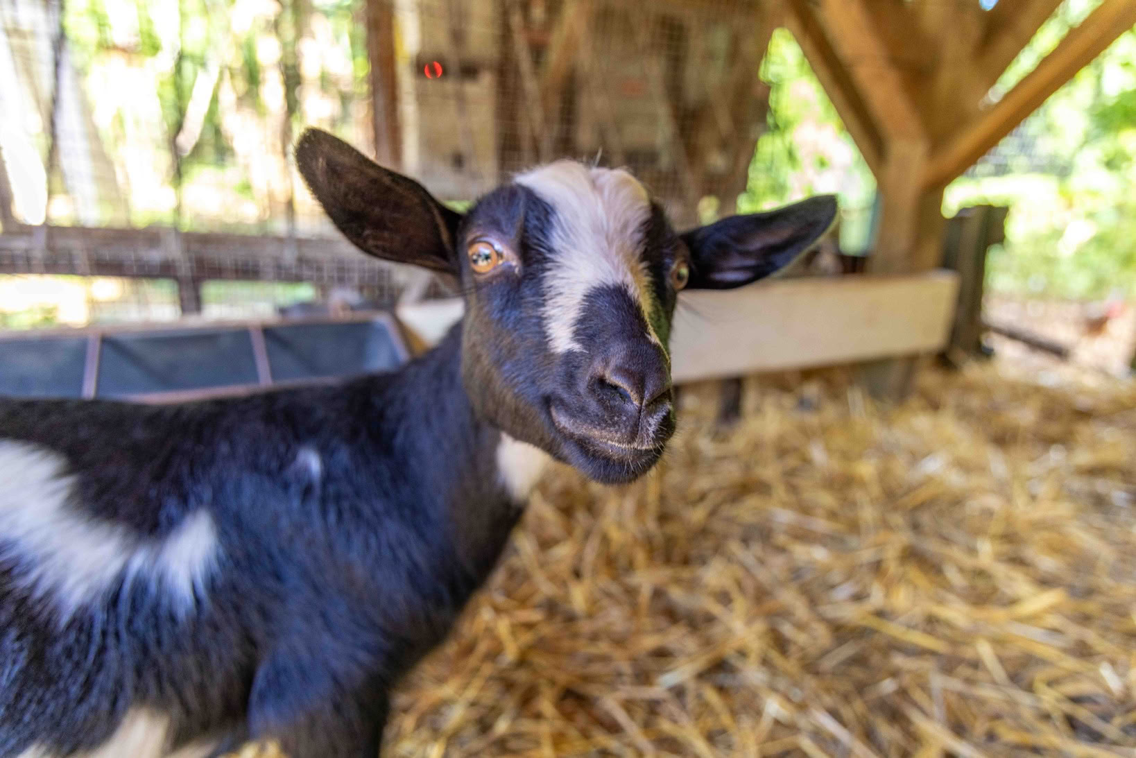 Aloha Maui Farm Tour