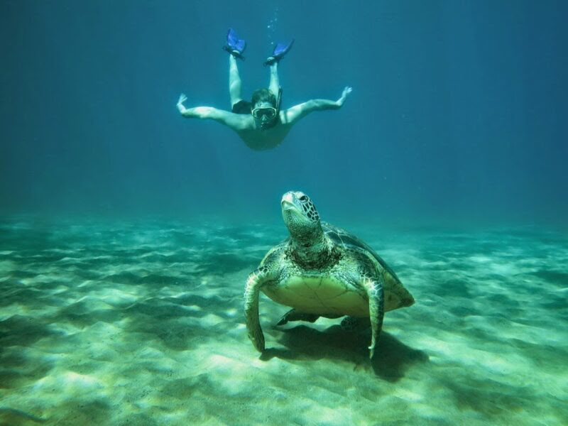 CGA's Hawaiian Wellness & Adventure Retreat