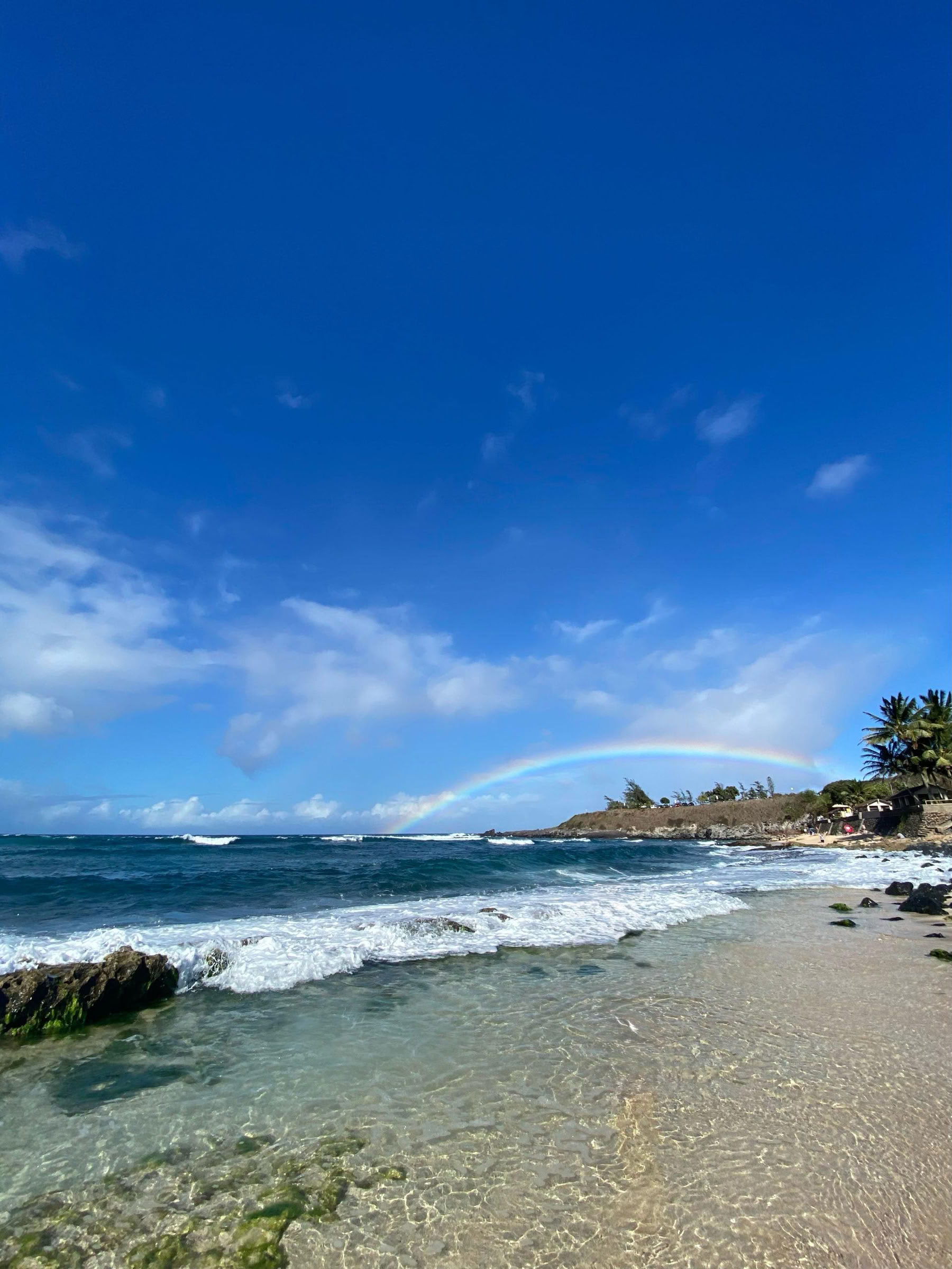 6-Day IFS & Breathwork Retreat in Maui