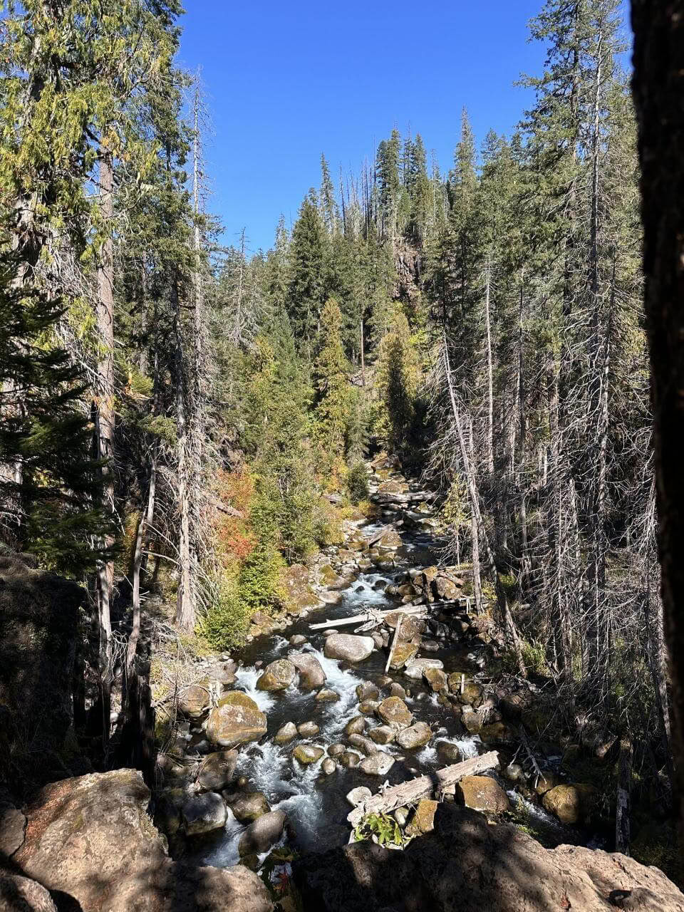 6-Day IFS & Breathwork Retreat in Maui