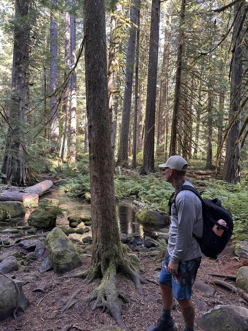 6-Day IFS & Breathwork Retreat in Maui