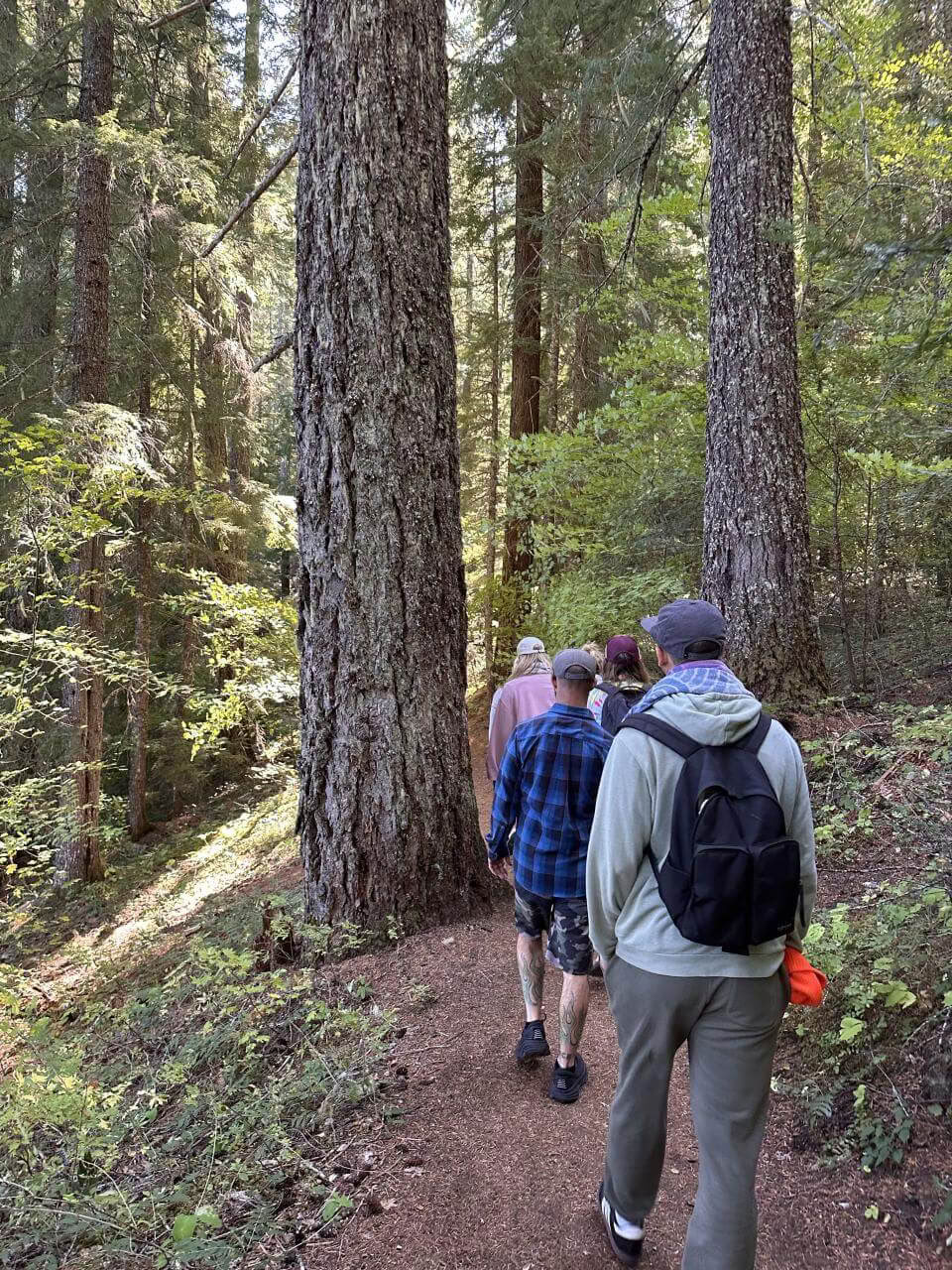 6-Day IFS & Breathwork Retreat in Maui