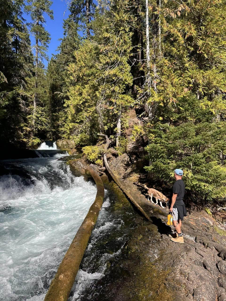 6-Day IFS & Breathwork Retreat in Maui