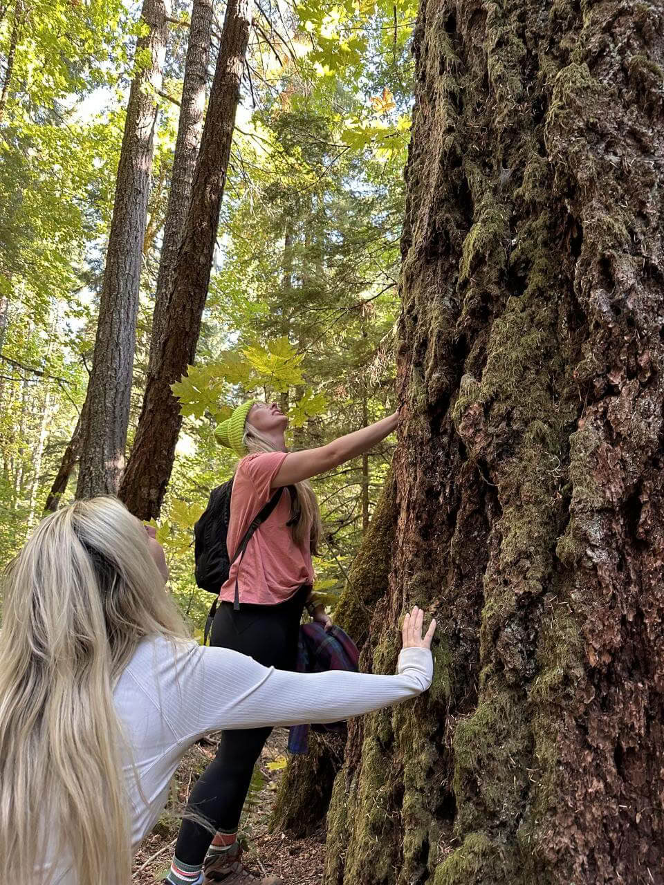 6-Day IFS & Breathwork Retreat in Maui