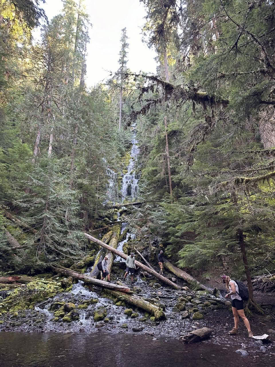 6-Day IFS & Breathwork Retreat in Maui