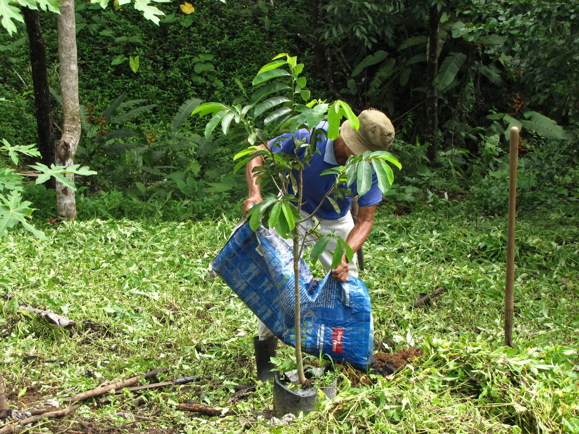 Level 1 Facilitator Training with Lisa Morris