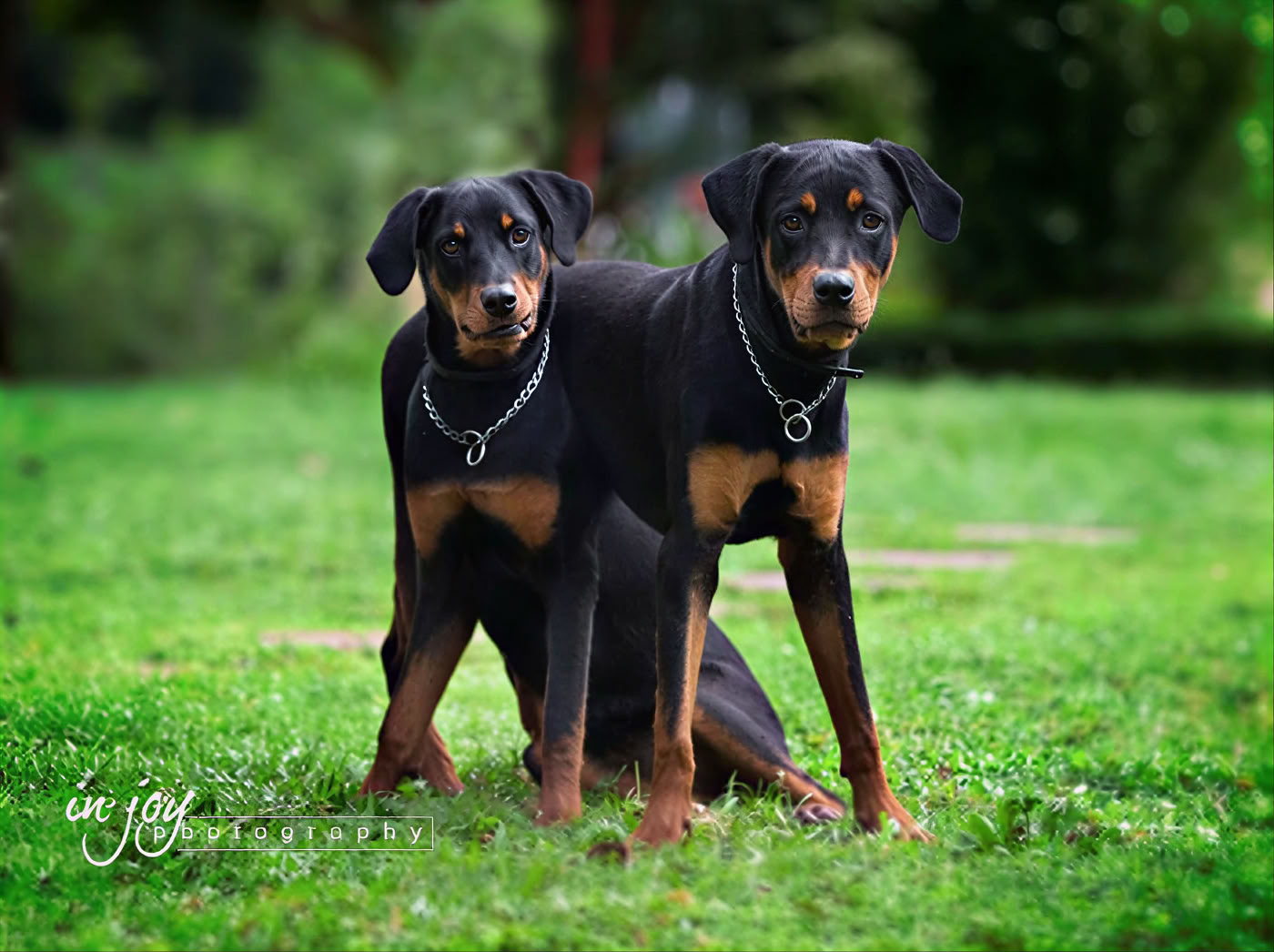 Level 1 Facilitator Training with Lisa Morris