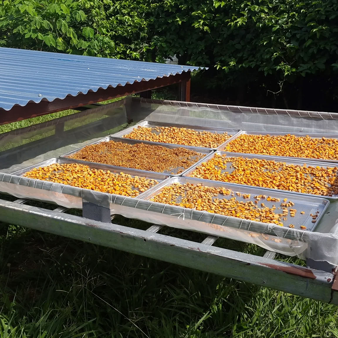 Level 1 Facilitator Training with Lisa Morris