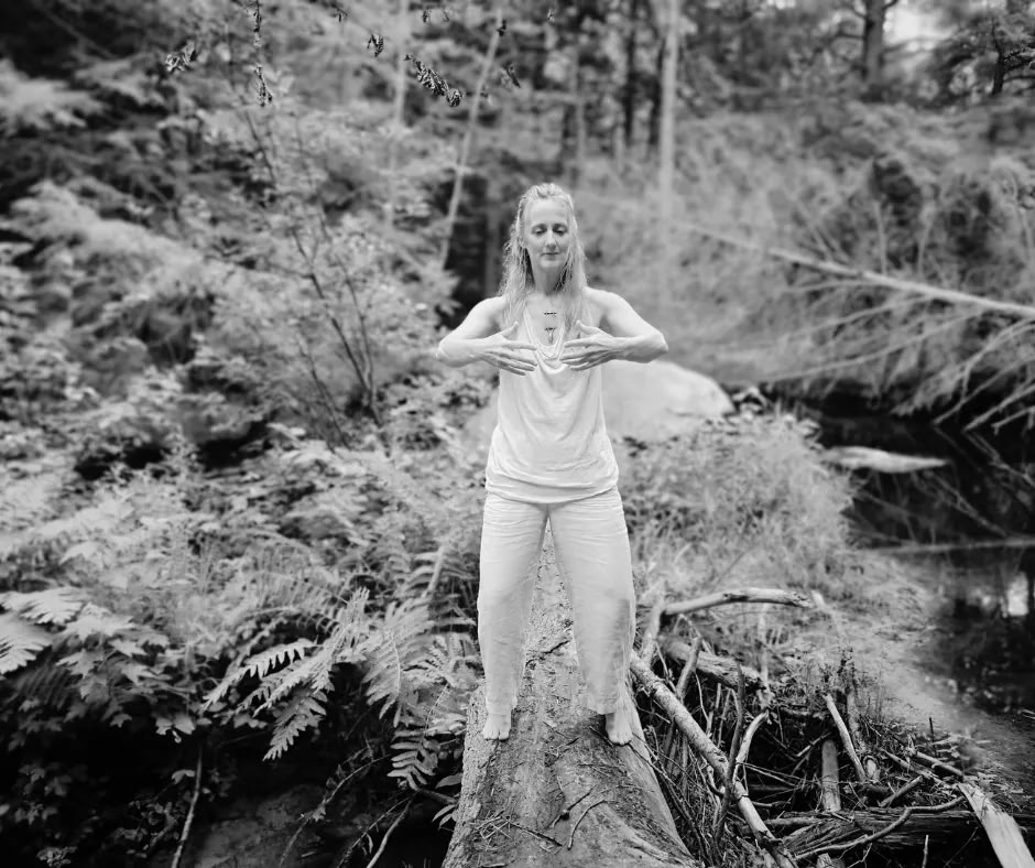 Fire Phase Five Element Day Retreat