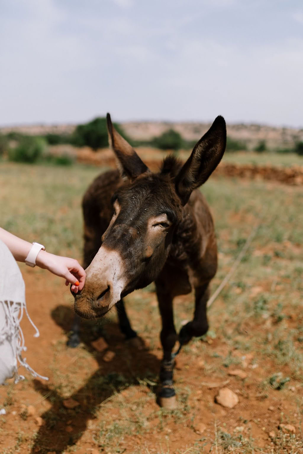 Host Your Own Retreat