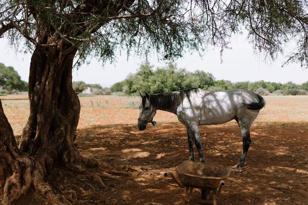 AcroYoga & Nature Retreat