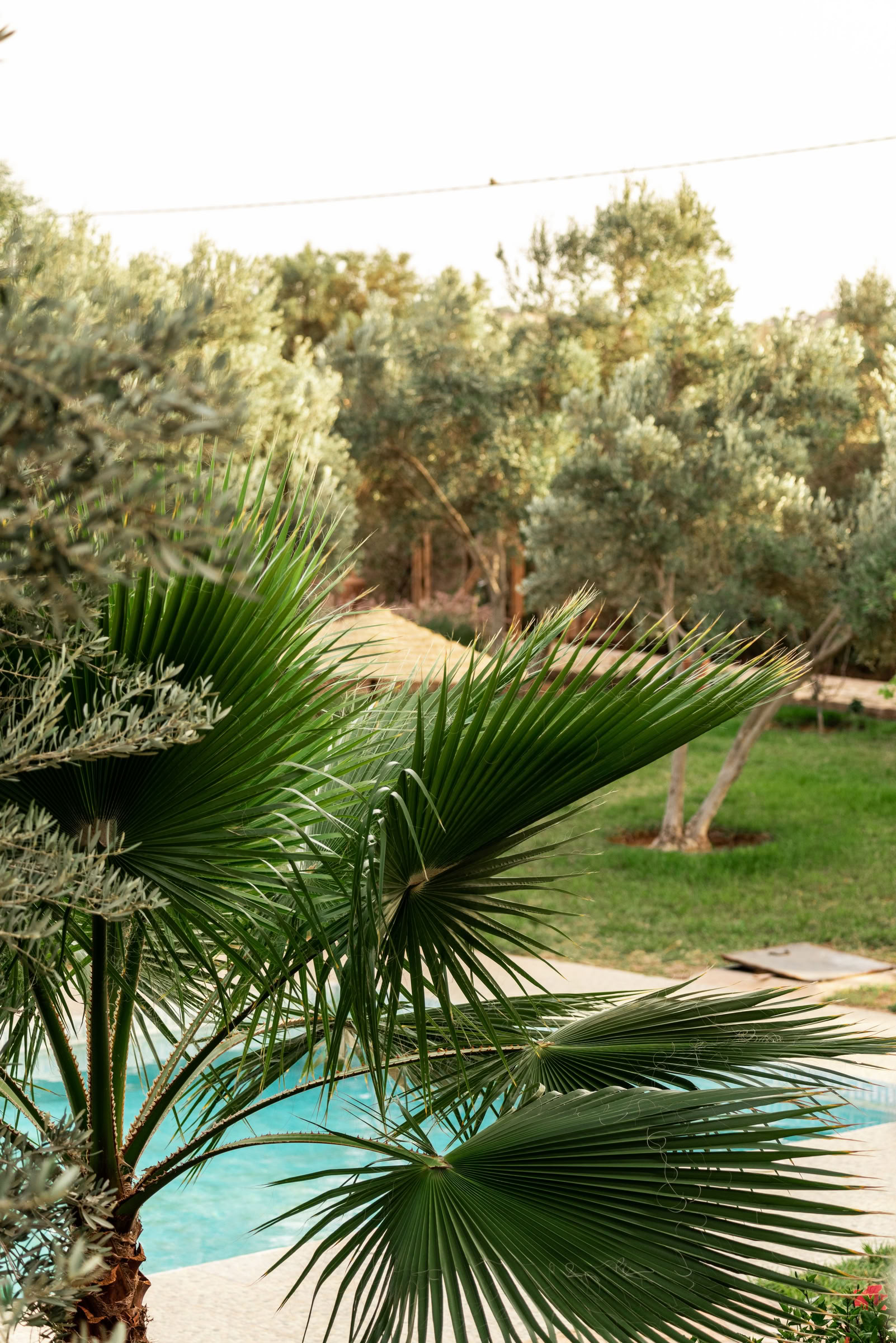 Inspiring AcroYoga Retreat