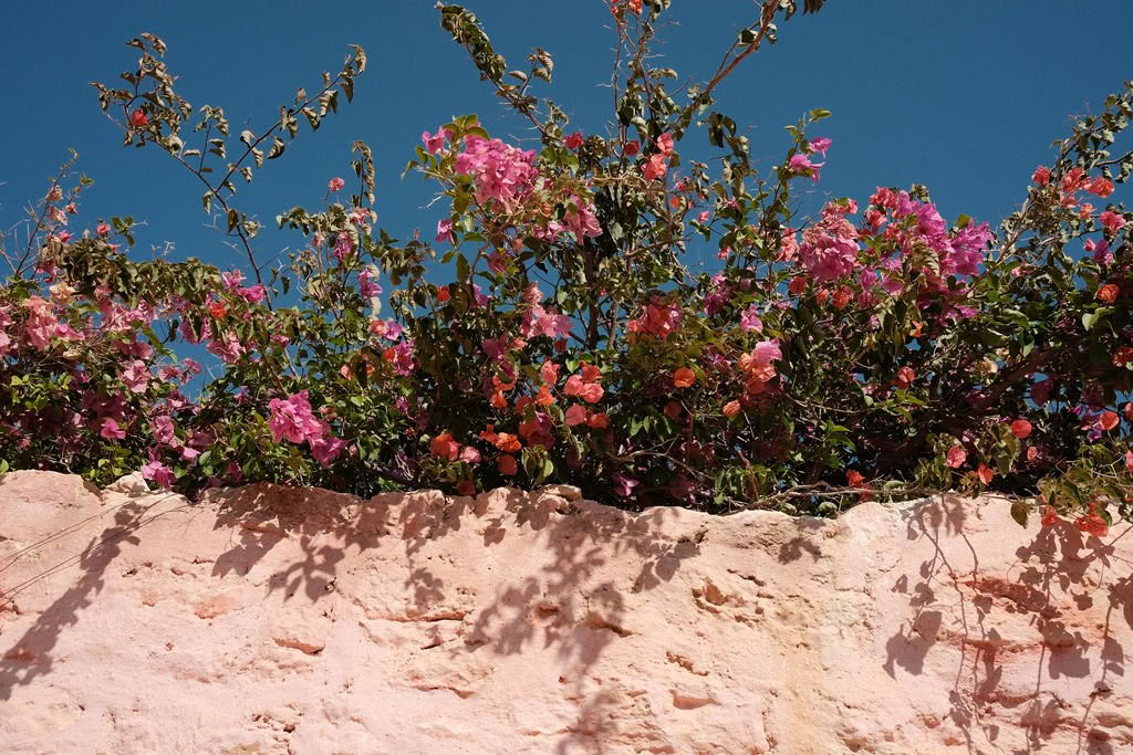 Inspiring AcroYoga Retreat