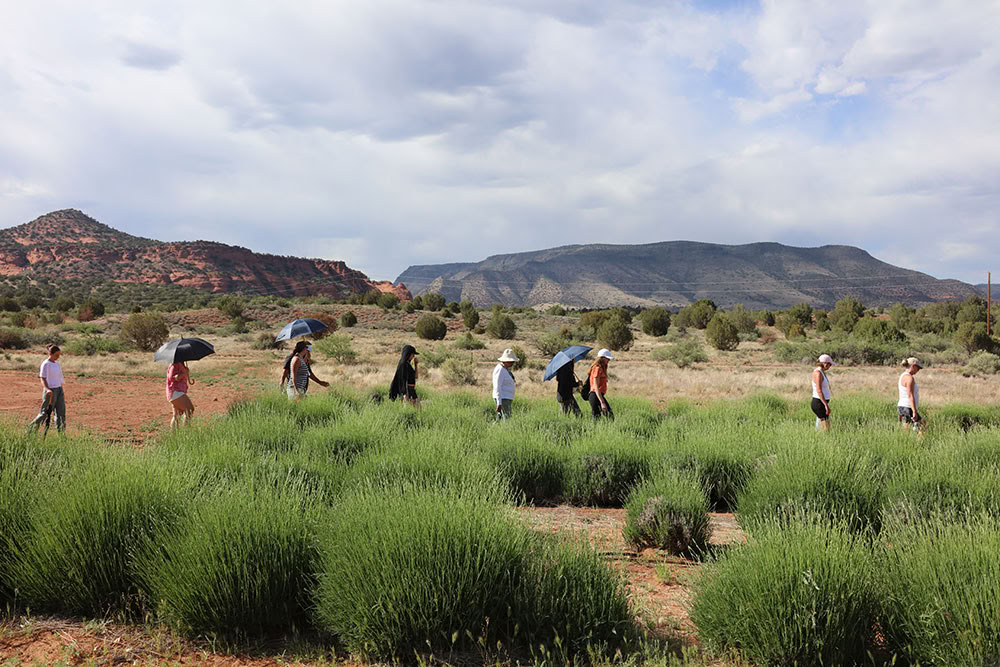 Sedona Vortex Healing Retreat