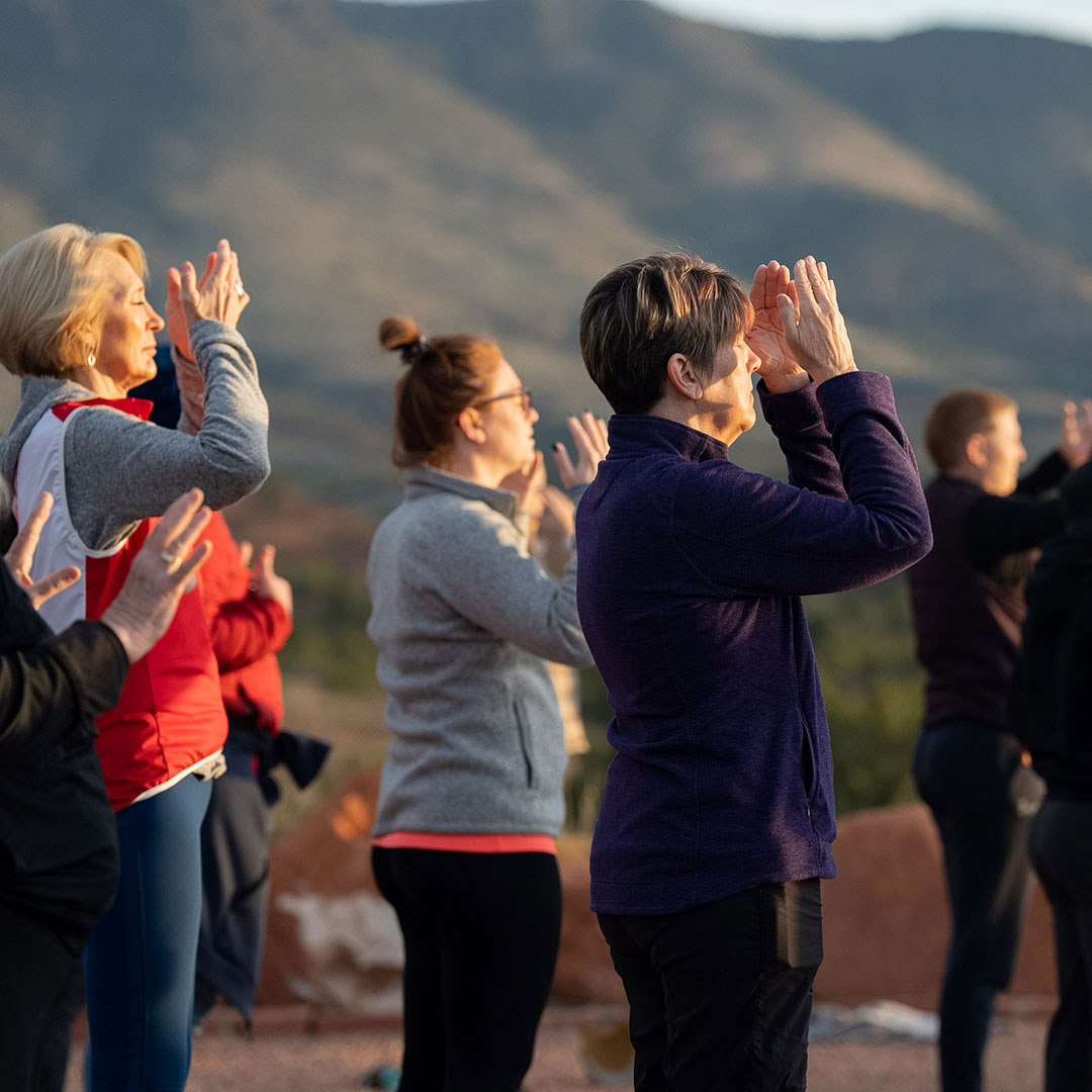 Tao Natural Healing Advanced Course