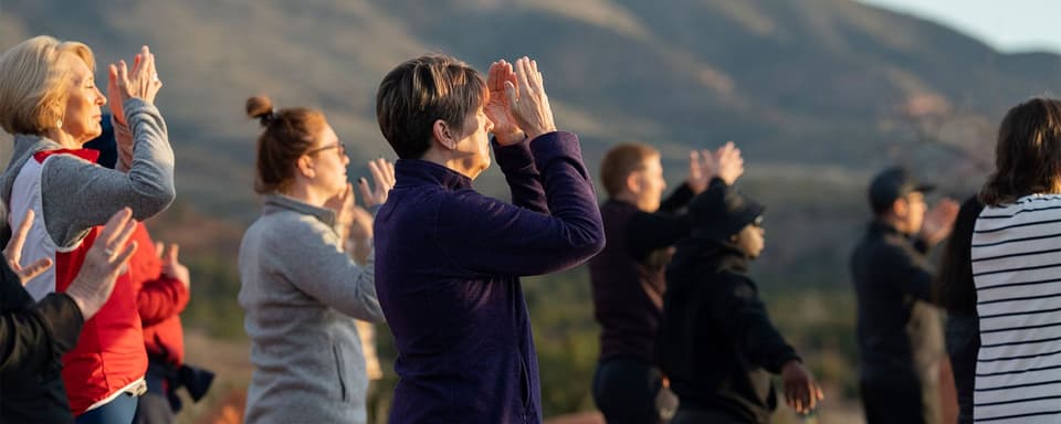 Tao Natural Healing Advanced Course
