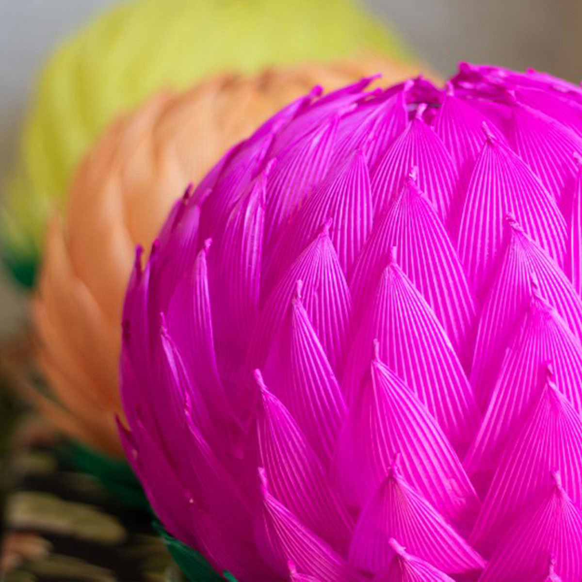 8th Annual World Peace Ceremony