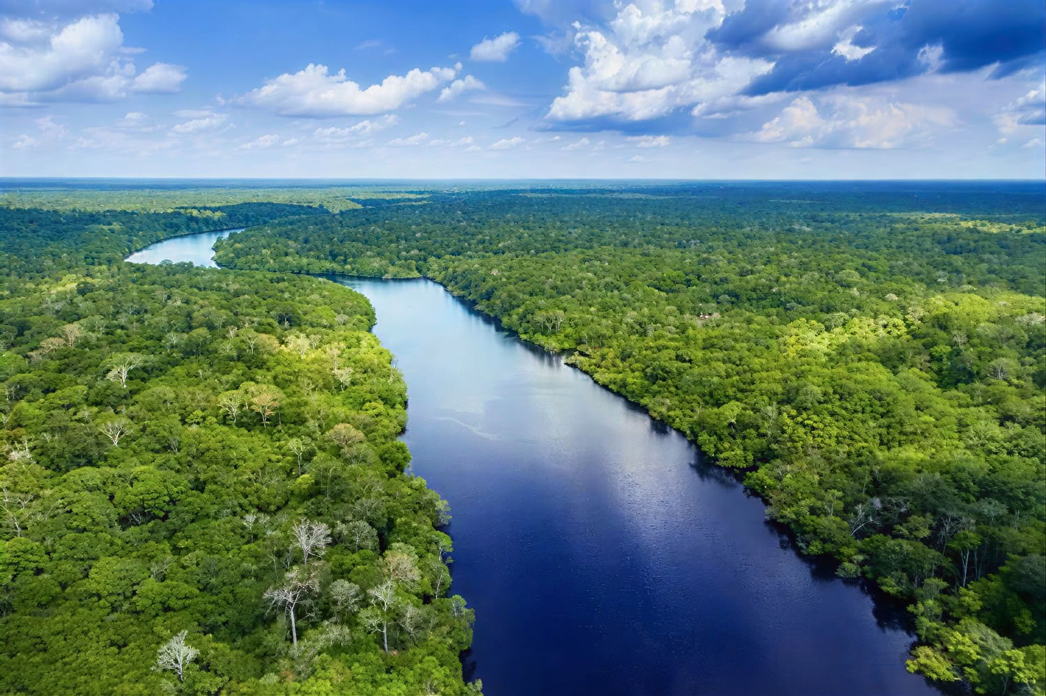Ayahuasca Retreat