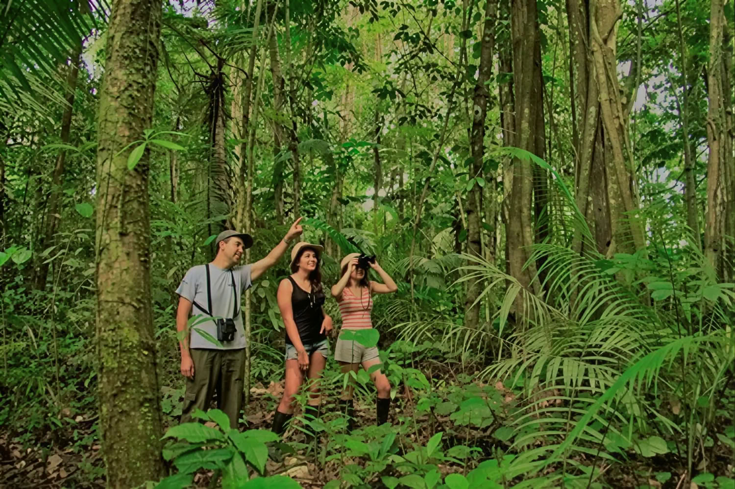 Ayahuasca Retreat
