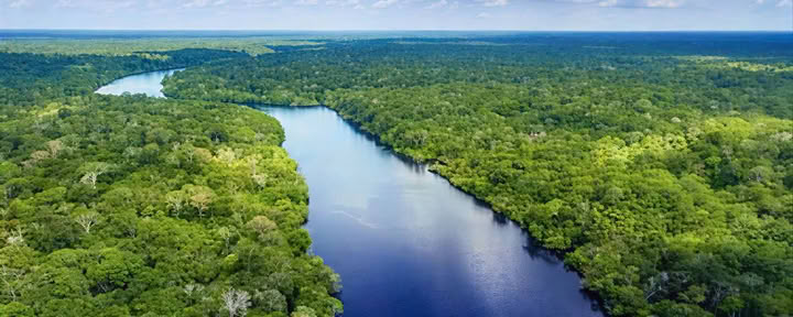 Ayahuasca Retreat