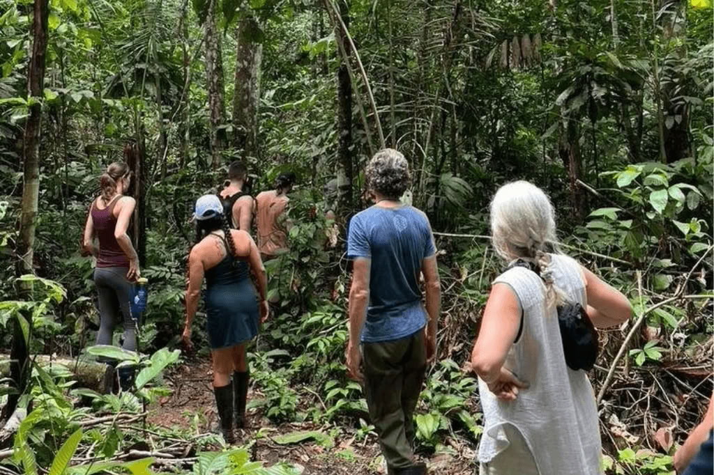 Amazon - Blue Morpho Lodge 3 ayahuasca & 1 San Pedro