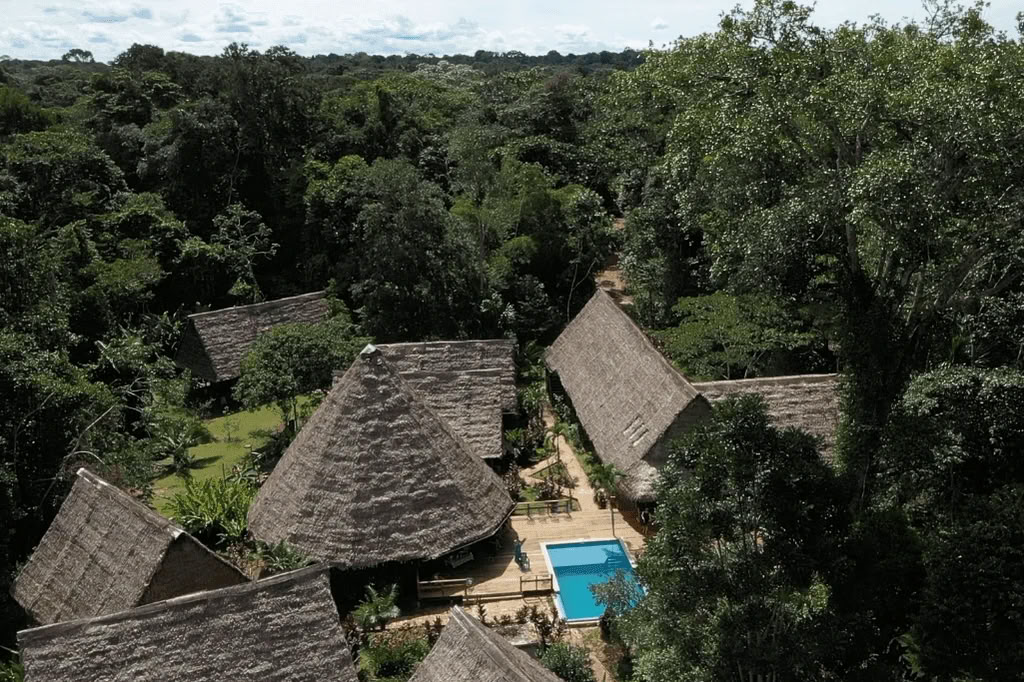 Amazon - Blue Morpho Lodge 3 ayahuasca & 1 San Pedro