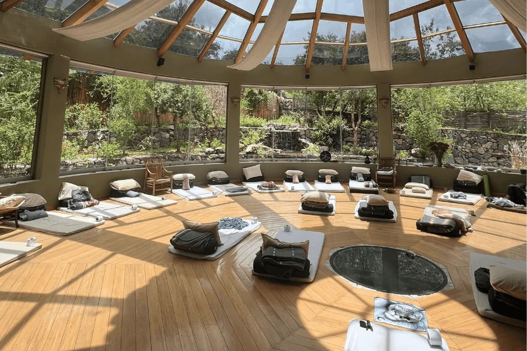 Amazon - Blue Morpho Lodge 3 ayahuasca & 1 San Pedro